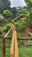 /album/fotogaleria-panama-zajazd-vy-a-my/panama-fotky-11-jpg/